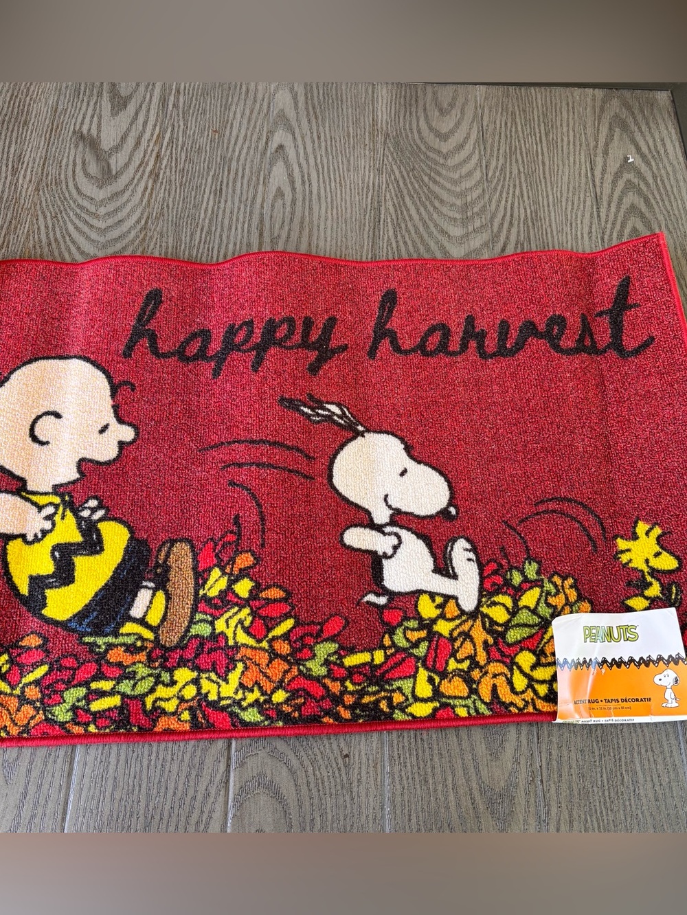 Peanuts Accent Rug HAPPY HARVEST 22in x 30 in